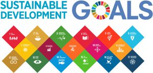 17 Interconnected Sustainable Development Goals